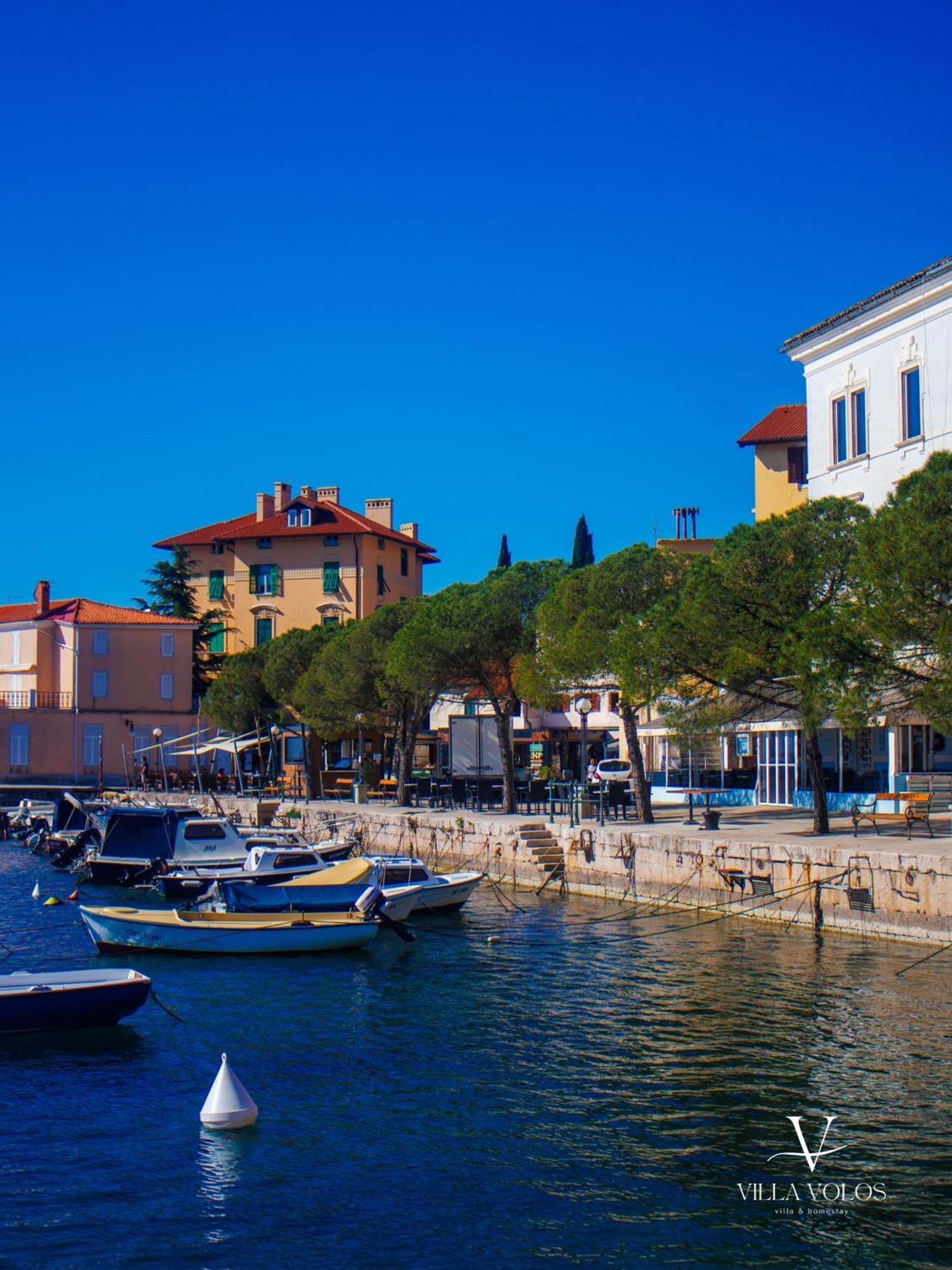 Villa Volos Apartment Karmen With Roof Terrace, Sea View, Free Private Parking Opatija Exteriör bild